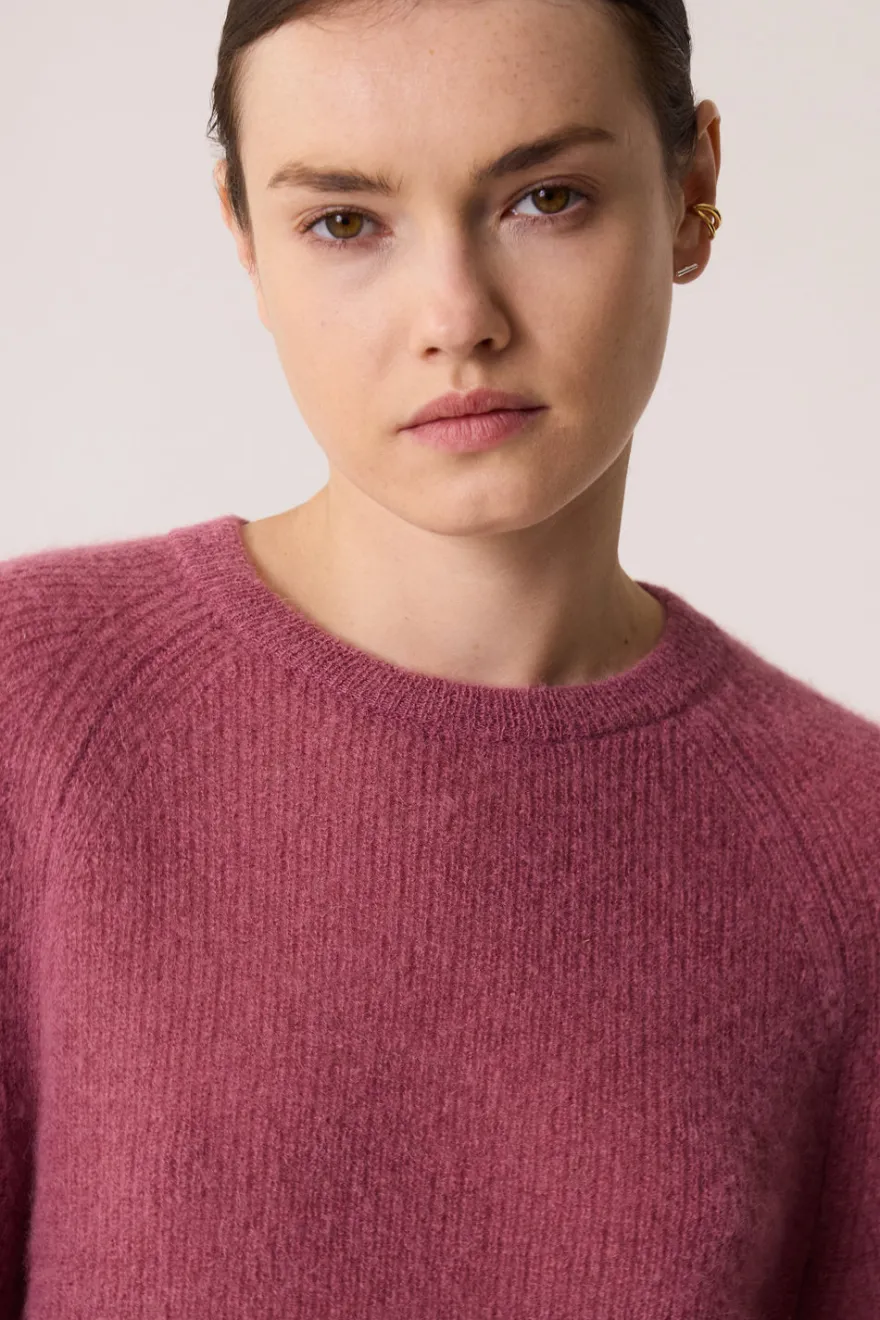 Online Des Petit Hauts Pull Carlos BRUYERE