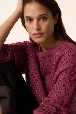 Hot Des Petit Hauts Sweat Hanita LEO BRUYERE